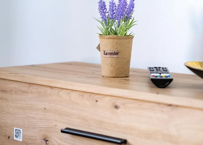 Old Ultracentral Calea Victoriei Apartament Bucureşti