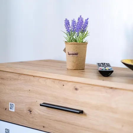 Old Ultracentral Calea Victoriei Апартаменты Бухарест